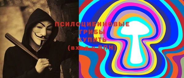 ГАЛЛЮЦИНОГЕННЫЕ ГРИБЫ Заволжье