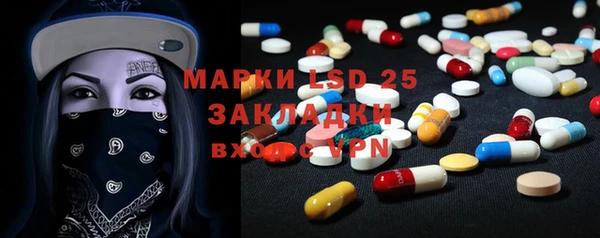 стаф Заводоуковск