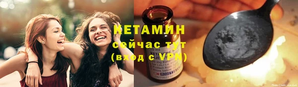 стаф Заводоуковск