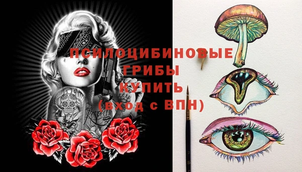 стаф Заводоуковск