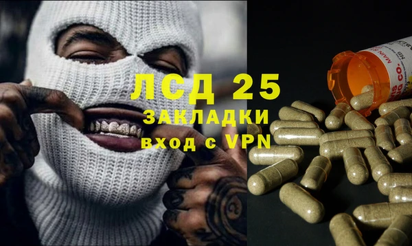 стаф Заводоуковск