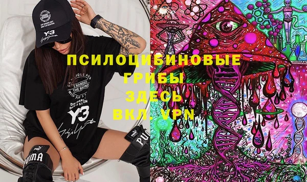 стаф Заводоуковск