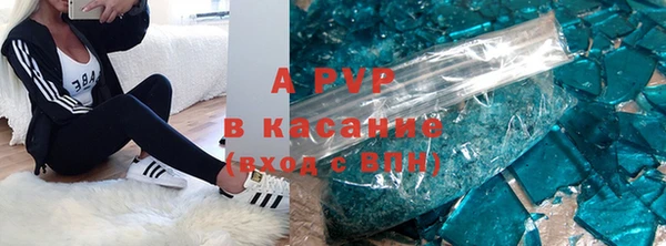 ГАЛЛЮЦИНОГЕННЫЕ ГРИБЫ Заволжье