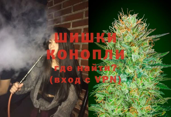 стаф Заводоуковск