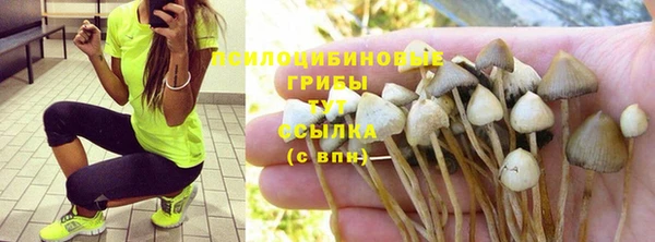 ГАЛЛЮЦИНОГЕННЫЕ ГРИБЫ Заволжье