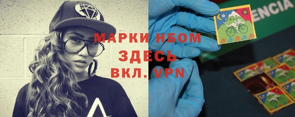 ГАЛЛЮЦИНОГЕННЫЕ ГРИБЫ Заволжье